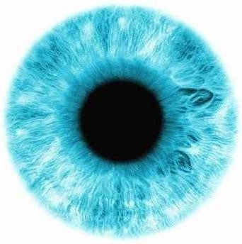 Photo of blue human iris