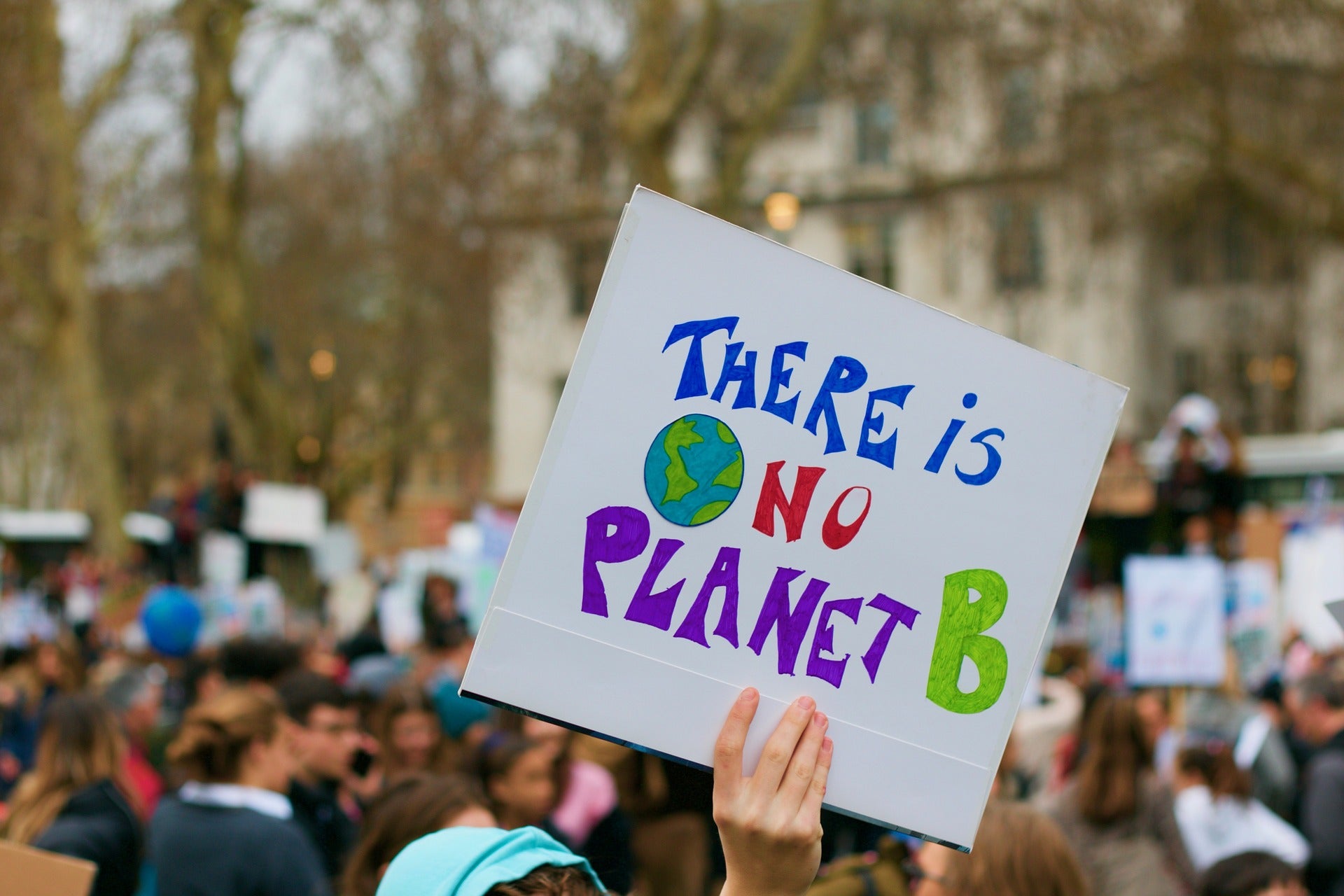 Image of climate change demonstration placard