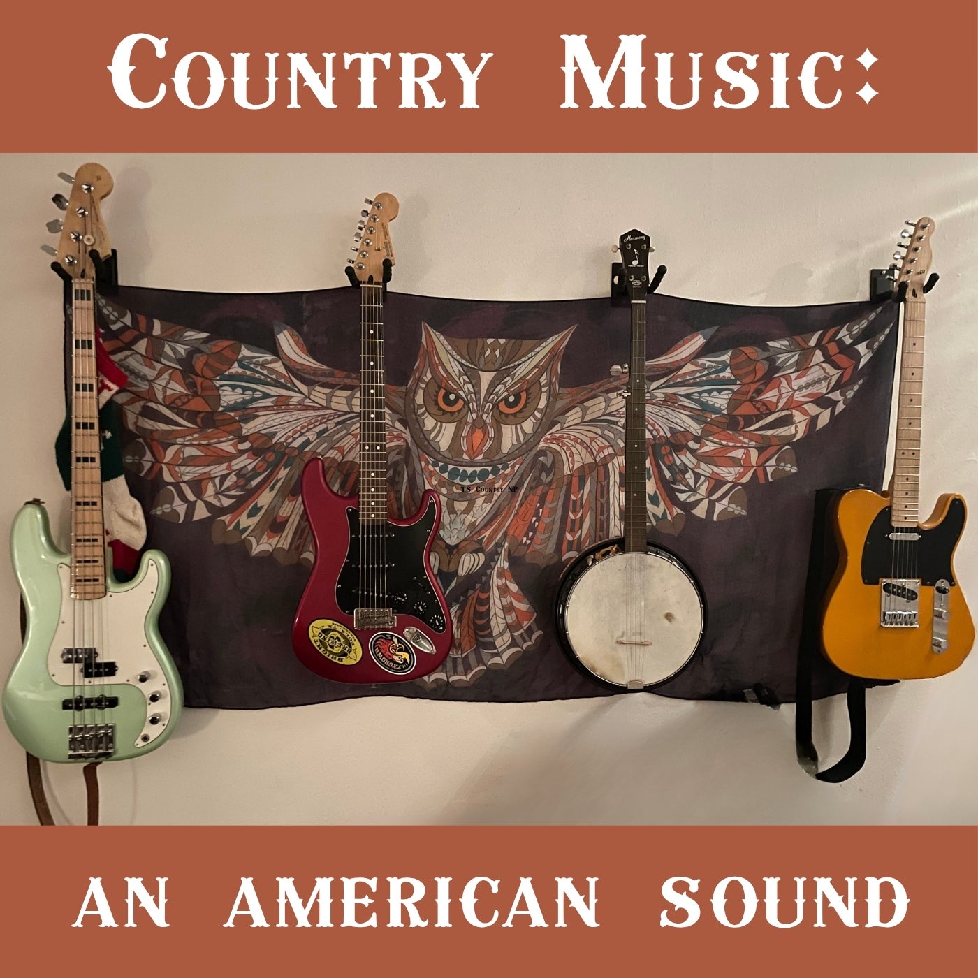 country music instruments