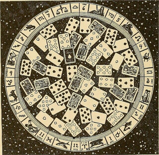 cardology