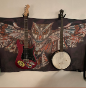 country music instruments
