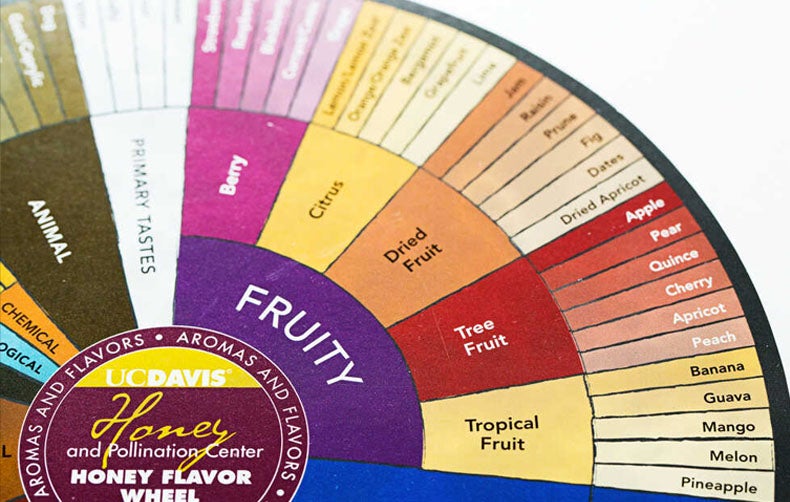 Technologies of Taste - Flavor wheel