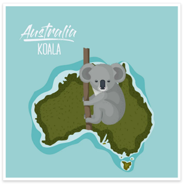 koala bear and Australia map